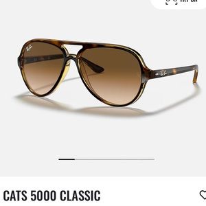 Ray-Ban Cat 5000 Sunglasses